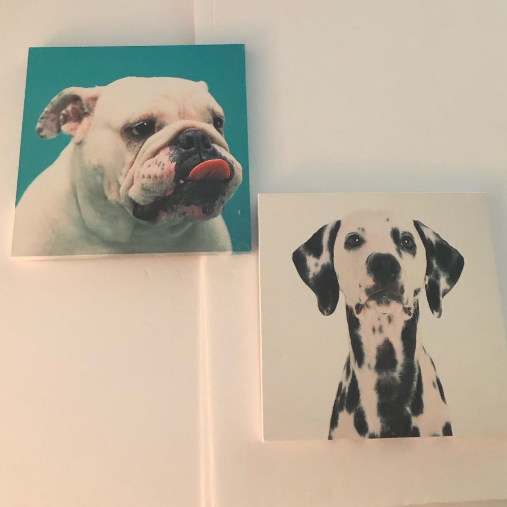 12” x 12” Dog Canvas Art Print Lot of 2